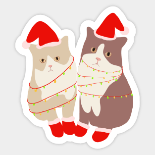 Christmas Kitten with Christmas Light Sticker